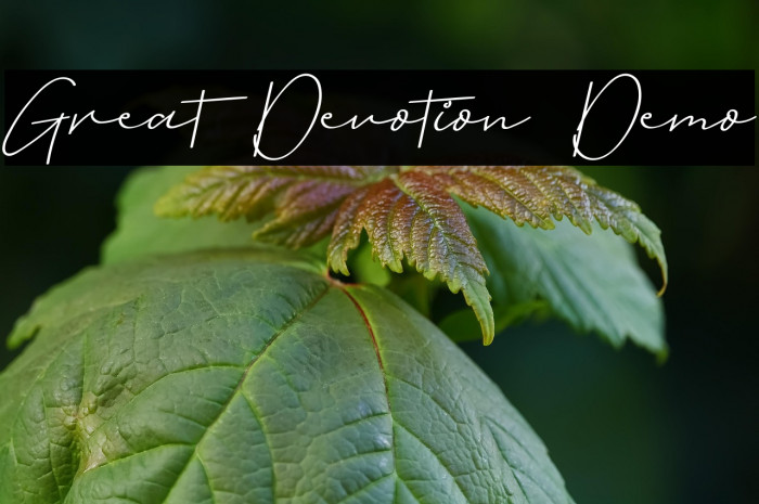 Great Devotion Demo Example 1