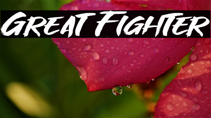 Great Fighter Font examples