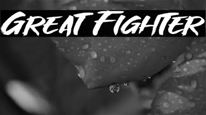 Great Fighter Font examples
