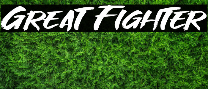 Great Fighter Font examples