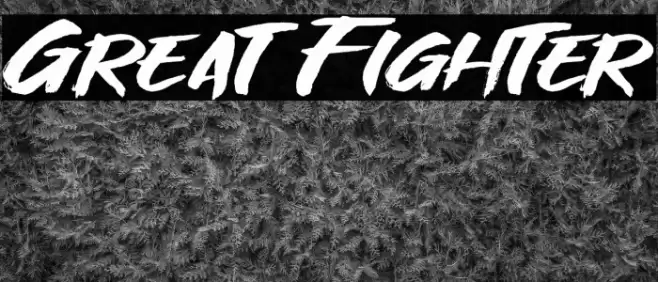 Great Fighter Font examples
