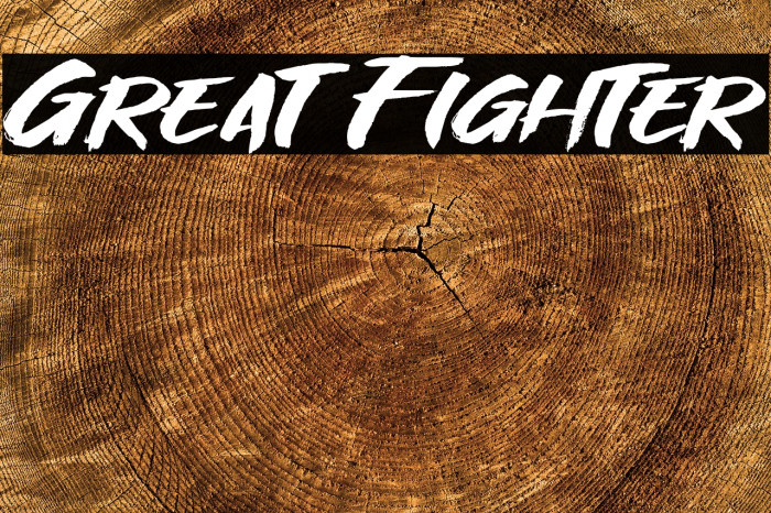 Great Fighter Font examples