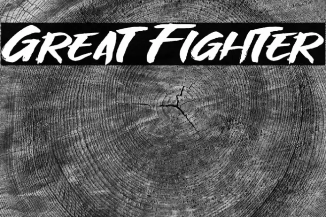 Great Fighter Font examples