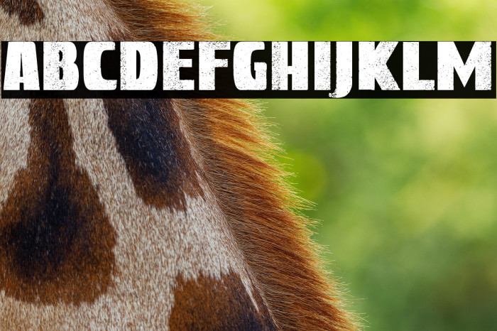 Great Kings Example 1