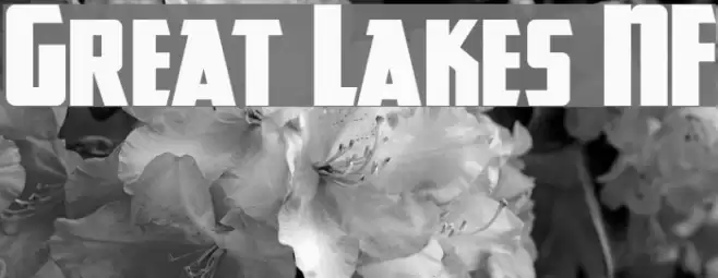 Great Lakes NF Font examples