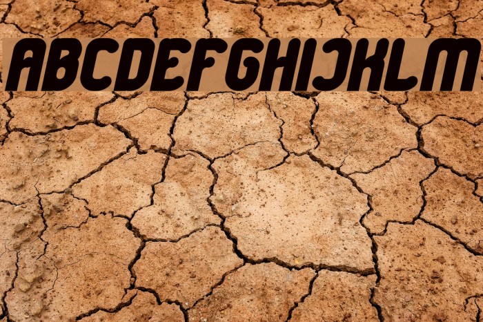 Great Leader Bold Italic Example 1