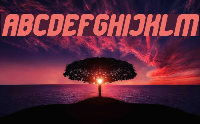 Great Leader Bold Italic Example 3