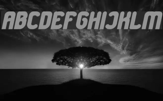 Great Leader Bold Italic Font examples