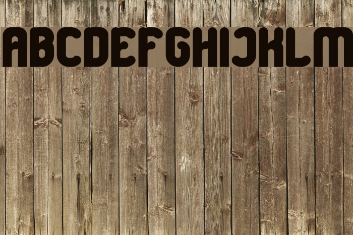 Great Leader Bold Font examples