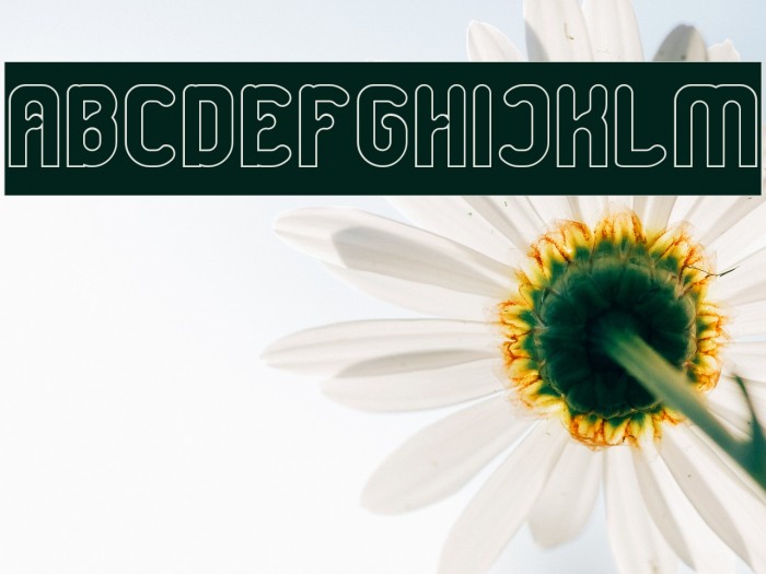 Great Leader-Hollow-Inverse Example 1