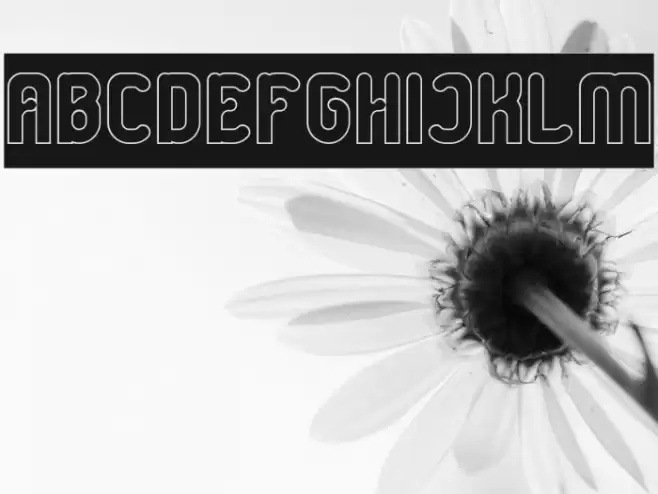 Great Leader-Hollow-Inverse Font examples