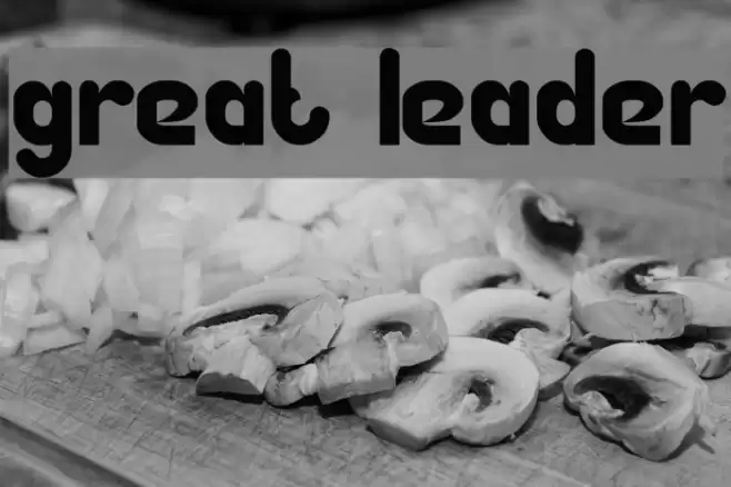 Great Leader Font examples