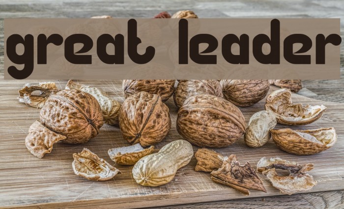Great Leader Font examples