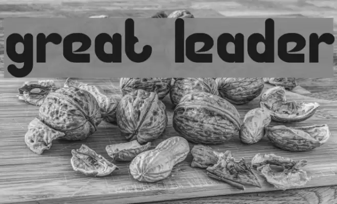 Great Leader Font examples