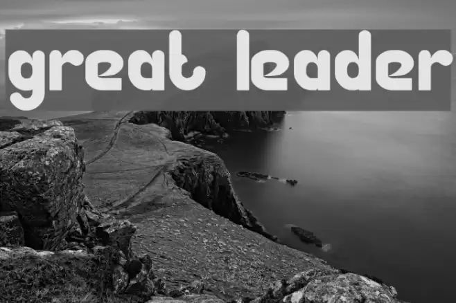 Great Leader Font examples