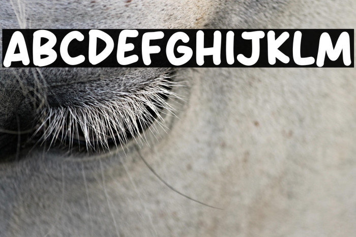 Great Melon Example 2