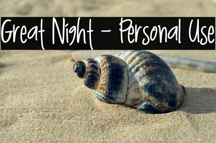 Great Night - Personal Use Example 2