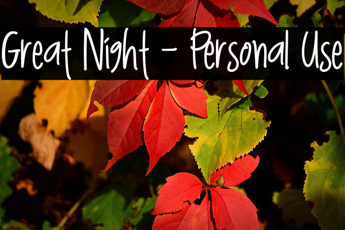 Great Night - Personal Use Example 3