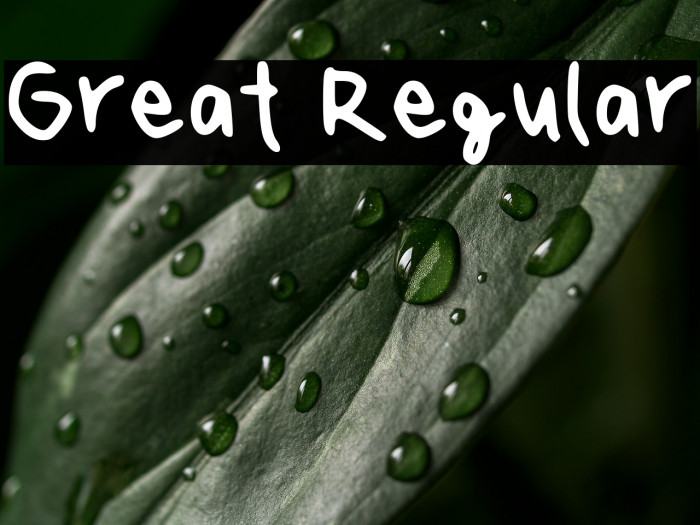 Great Regular Example 1