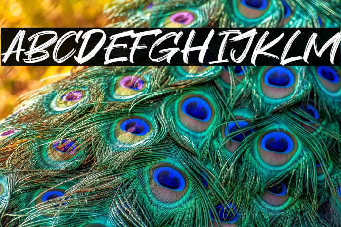 Great Sejagad Example 2