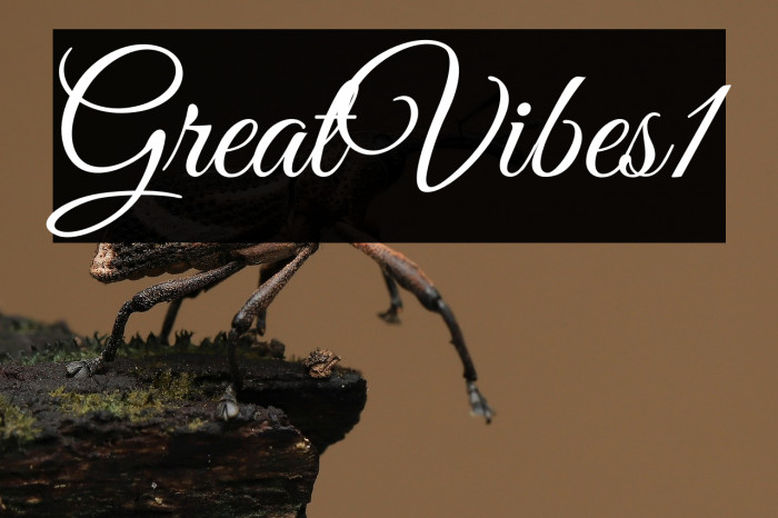 Great Vibes1 Example 3
