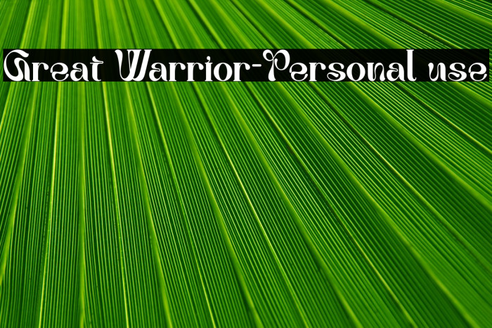 Great Warrior-Personal use Example 3