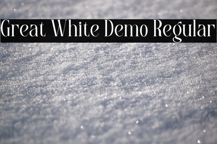 Great White Demo Regular Example 1