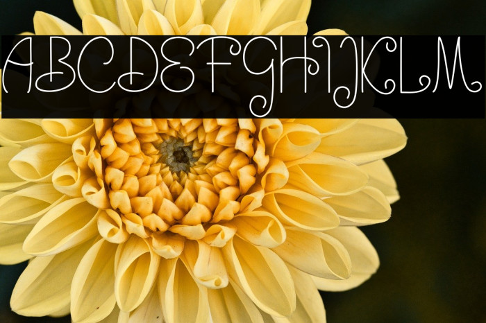 GreatAnthem Example 1