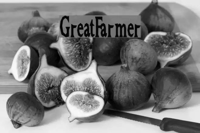 GreatFarmer Font examples