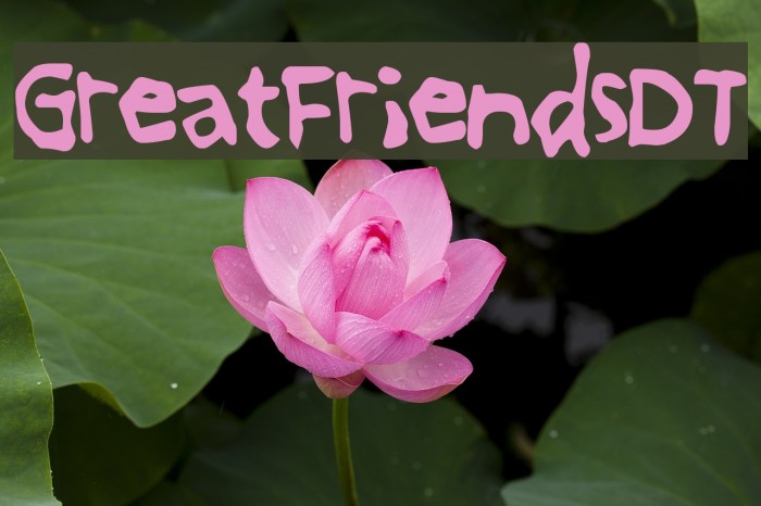 GreatFriendsDT Font examples