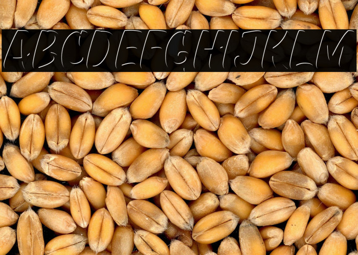 GreatHustleInner Example 2