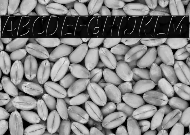 GreatHustleInner Font examples