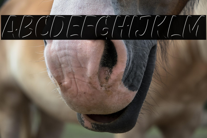 GreatHustleInner Example 3