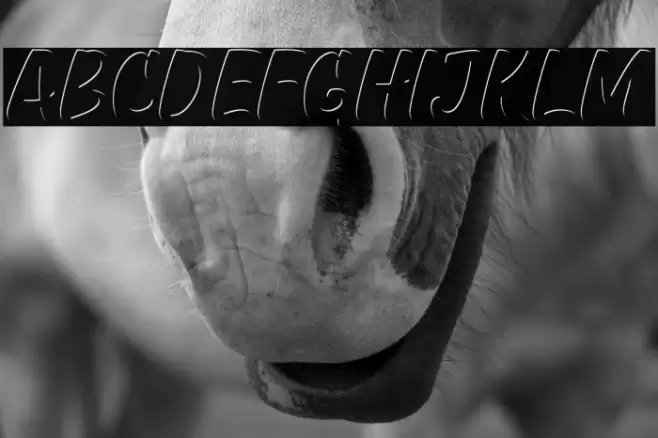 GreatHustleInner Font examples