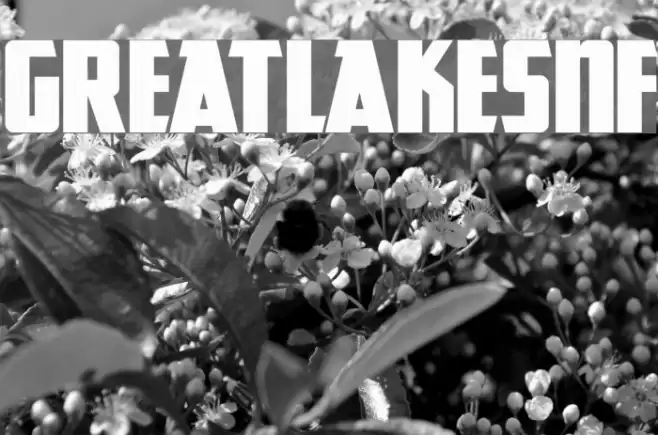 GreatLakesNF Font examples