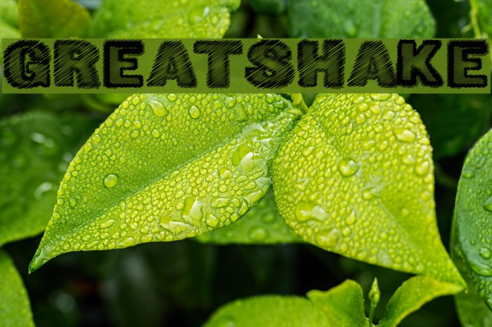 GreatShake Font examples