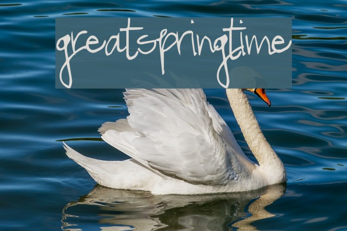 GreatSpringtime Font examples