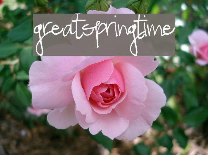 GreatSpringtime Font examples