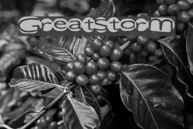 GreatStorm Font examples