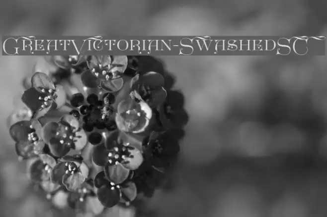 GreatVictorian-SwashedSC Font examples