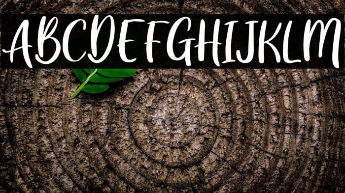 GreatWishes Example 1