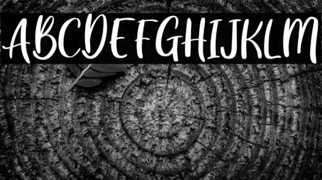 GreatWishes Font examples