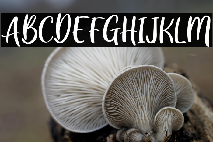 GreatWishes Example 2