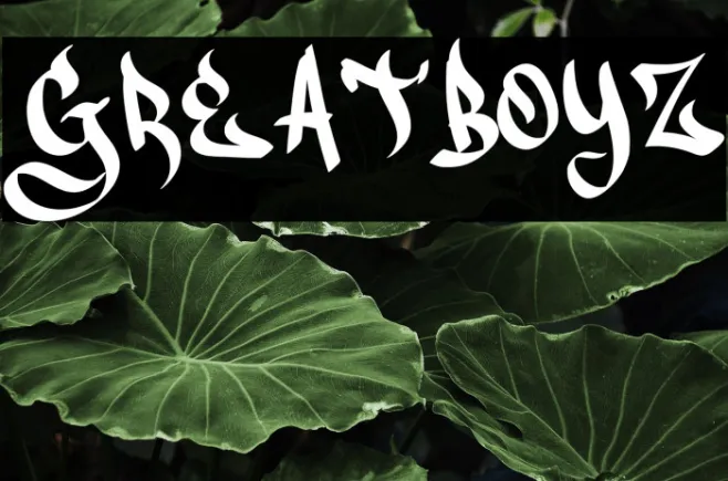 Greatboyz Example 3