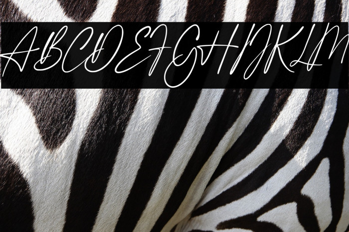 Greater Delight Demo Version Example 1