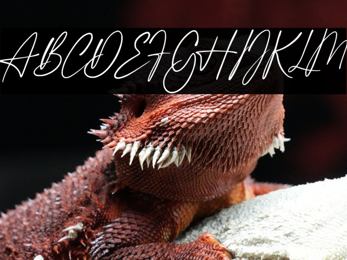 Greater Delight Demo Version Example 3