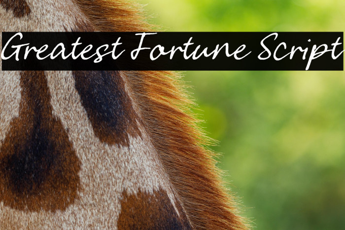 Greatest Fortune Script Example 2