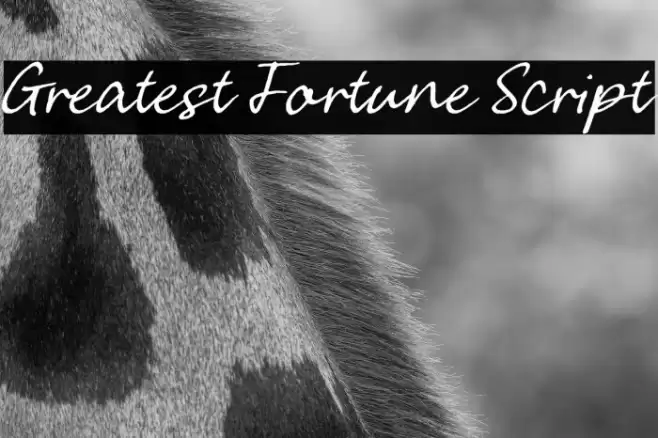 Greatest Fortune Script Font examples