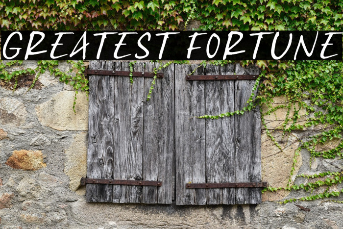 Greatest Fortune Example 3