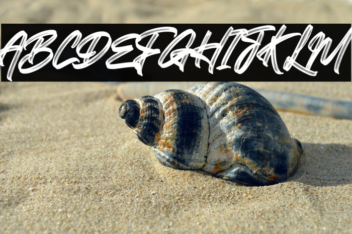 Greatest Richmond Alternate One Example 3